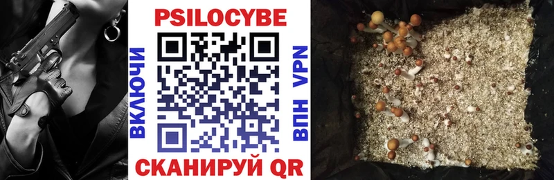 Псилоцибиновые грибы Psilocybe  Тюкалинск 